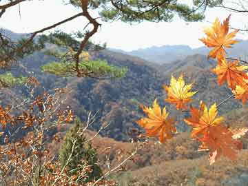 以色列7200军事基地遭轰炸，深度分析与反思，以色列7200军事基地遭轰炸事件，深度分析与反思