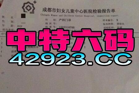 揭秘新澳彩票资料，经典解释与预测The12.97.1的奥秘