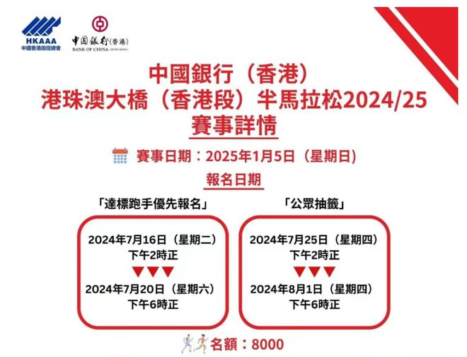 2024新澳资料免费大全，效率资料解释落实与网页版使用指南