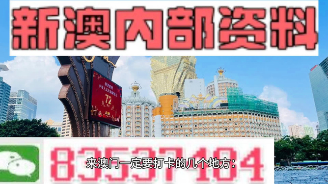 澳门旅游团资料解析与免费旅游指南，精准信息一网打尽（违法犯罪提示）