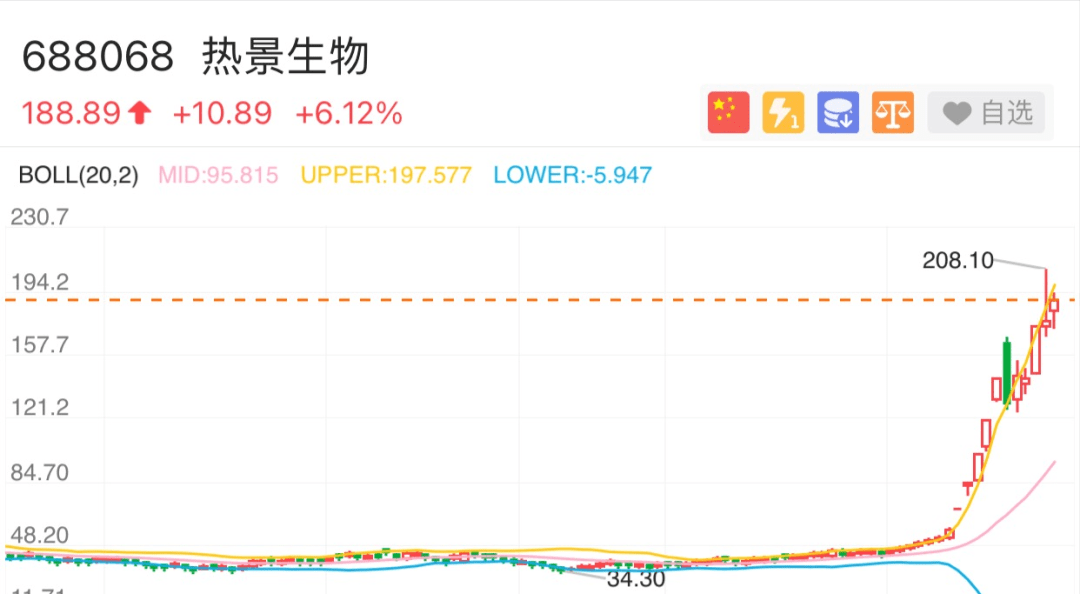 最新热门解答落实指南