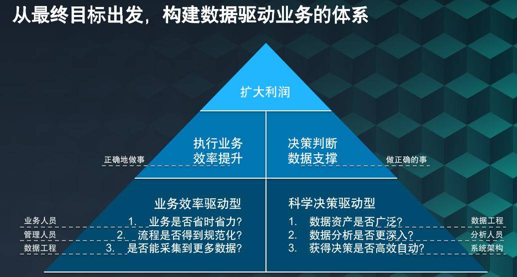 决策资料解释落实，揭秘新奥资料免费精准解析（The69.55.31）