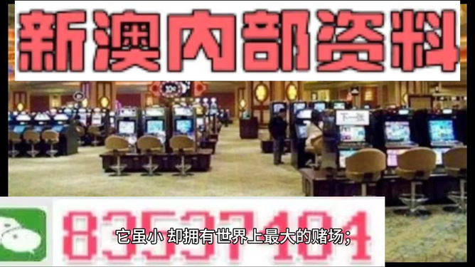 2024新澳正版免费资料大全，时代资料详解与3D码解读