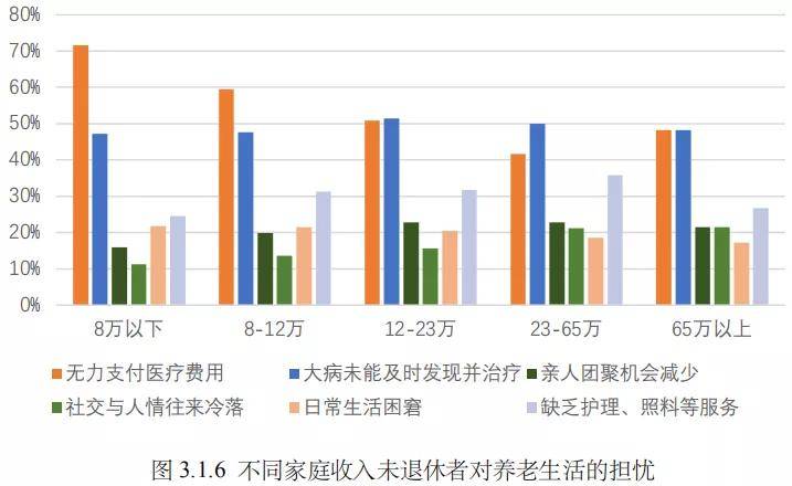 中国居家养老模式，优势与挑战的探究，占比远超九成