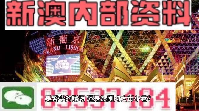 新澳2024资料大全免费,适用策略设计_VIP63.61.76