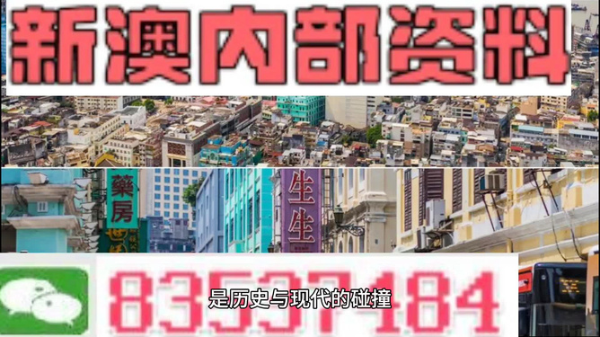 新澳内部资料精准大全,新澳内部资料全面解读_网红版7.17