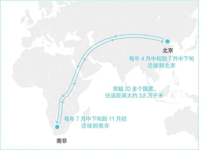 精确数据解析说明：2024新澳精准资料大全_app25.43.89