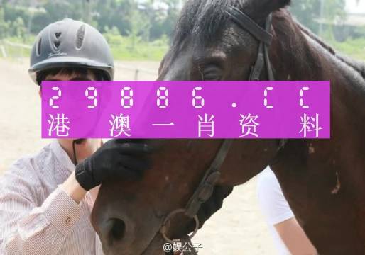 澳门今晚必中一肖一码准确,实用性执行策略讲解_RX版46.70.57