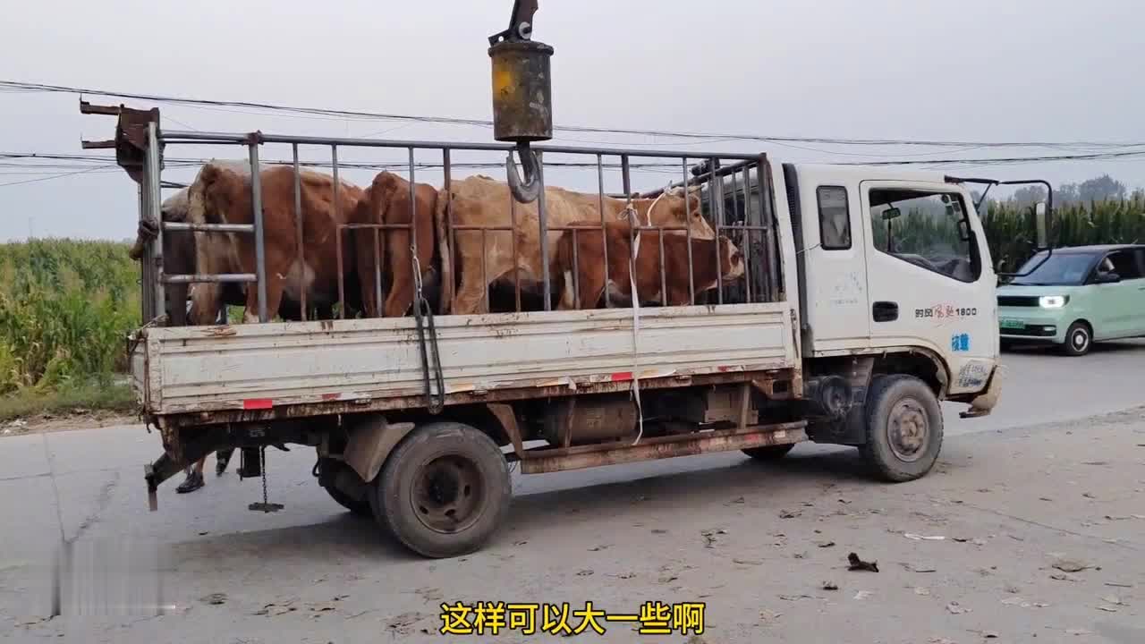 沉默的海 第199页