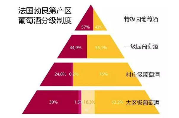 2024澳门特马今晚开什么,职业解答解释落实_2DM58.511