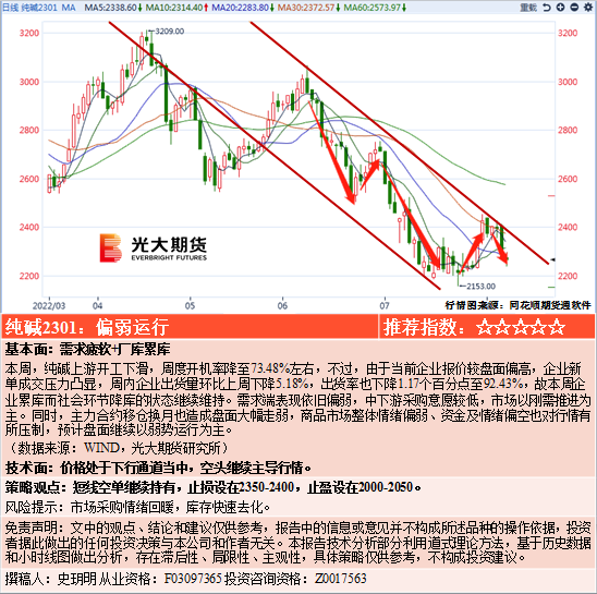 王中王一码一肖一特一中毛,实地分析解释定义_薄荷版49.19.34