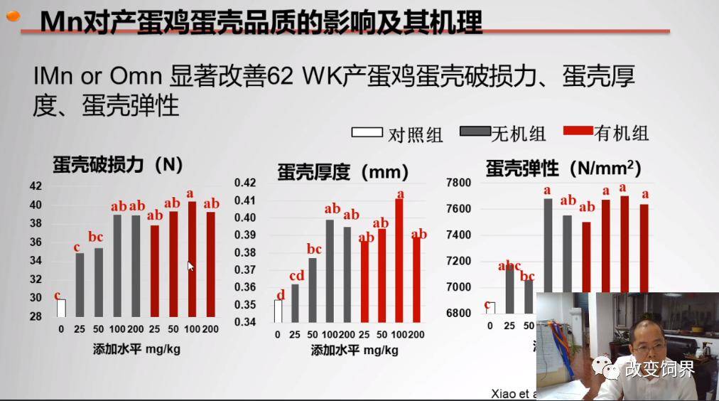 204年新奥管家婆,高效策略实施_Harmony80.85.10