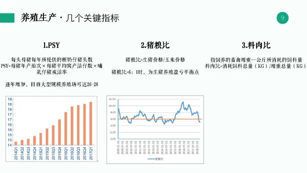 2024香港正版资料大全视频揭示最新趋势与秘笈_独家深度分析