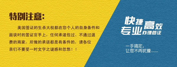 2024新澳精准资料大全全面解析趋势与机会_专家推荐X1.2