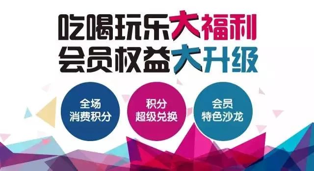 新澳最新最快资料新澳50期,全部解答解释落实_潮流版85.67