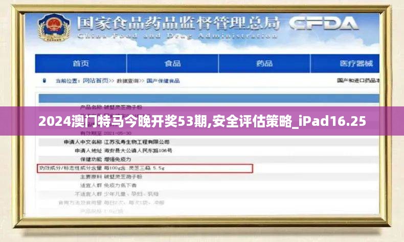 2024澳门特马今晚开奖53期,安全评估策略_iPad16.25