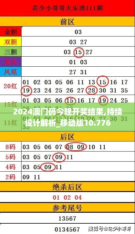 2024澳门码今晚开奖结果,持续设计解析_移动版10.776