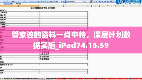 管家婆的资料一肖中特，深层计划数据实施_iPad74.16.59