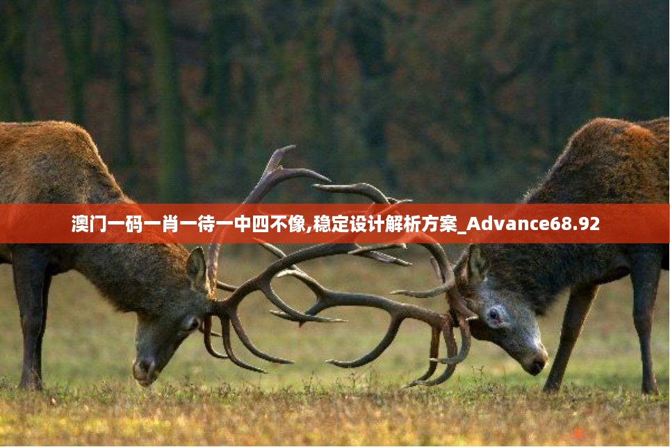 澳门一码一肖一待一中四不像,稳定设计解析方案_Advance68.92