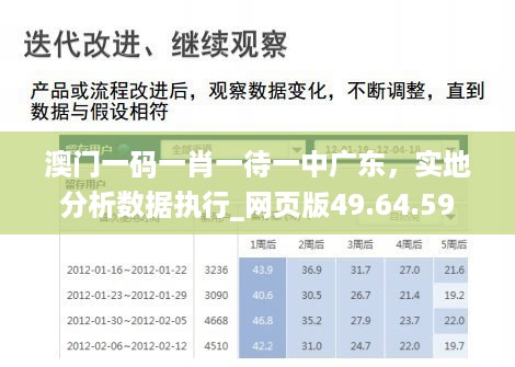 澳门一码一肖一待一中广东，实地分析数据执行_网页版49.64.59