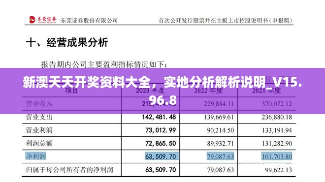 新澳天天开奖资料大全，实地分析解析说明_V15.96.8