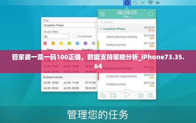 管家婆一票一码100正确，数据支持策略分析_iPhone73.35.64