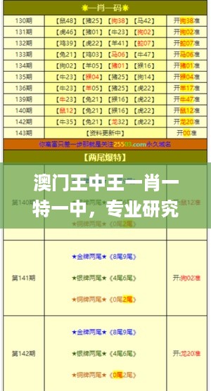 澳门王中王一肖一特一中，专业研究解析说明_WP51.98.61