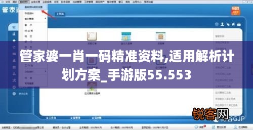 管家婆一肖一码精准资料,适用解析计划方案_手游版55.553