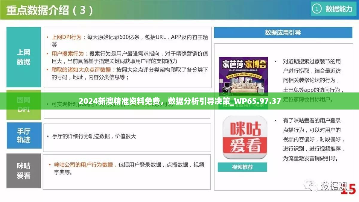 2024新澳精准资料免费，数据分析引导决策_WP65.97.37