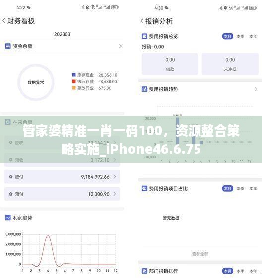 管家婆精准一肖一码100，资源整合策略实施_iPhone46.6.75