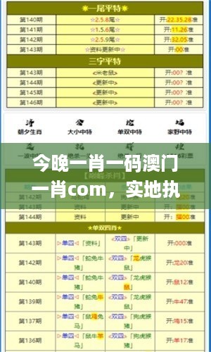 今晚一肖一码澳门一肖com，实地执行考察设计_V97.75.89