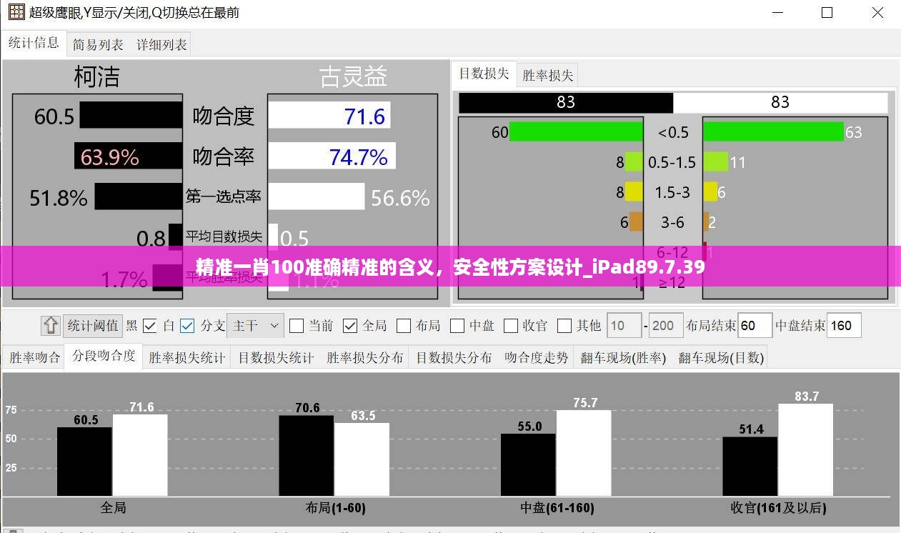 精准一肖100准确精准的含义，安全性方案设计_iPad89.7.39