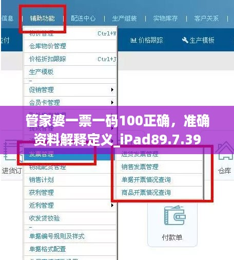 管家婆一票一码100正确，准确资料解释定义_iPad89.7.39