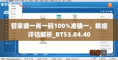 管家婆一肖一码100%准确一，精细评估解析_BT53.84.40