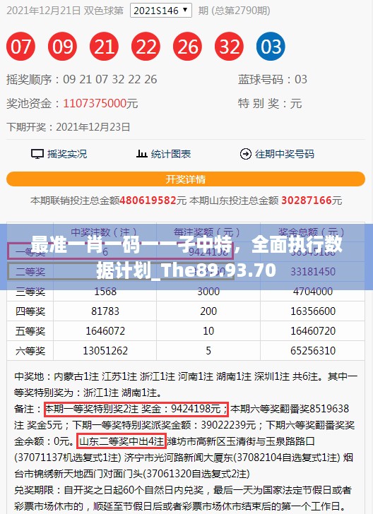 最准一肖一码一一孑中特，全面执行数据计划_The89.93.70