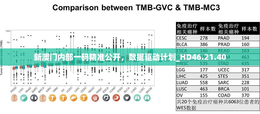 新澳门内部一码精准公开，数据驱动计划_HD46.21.40