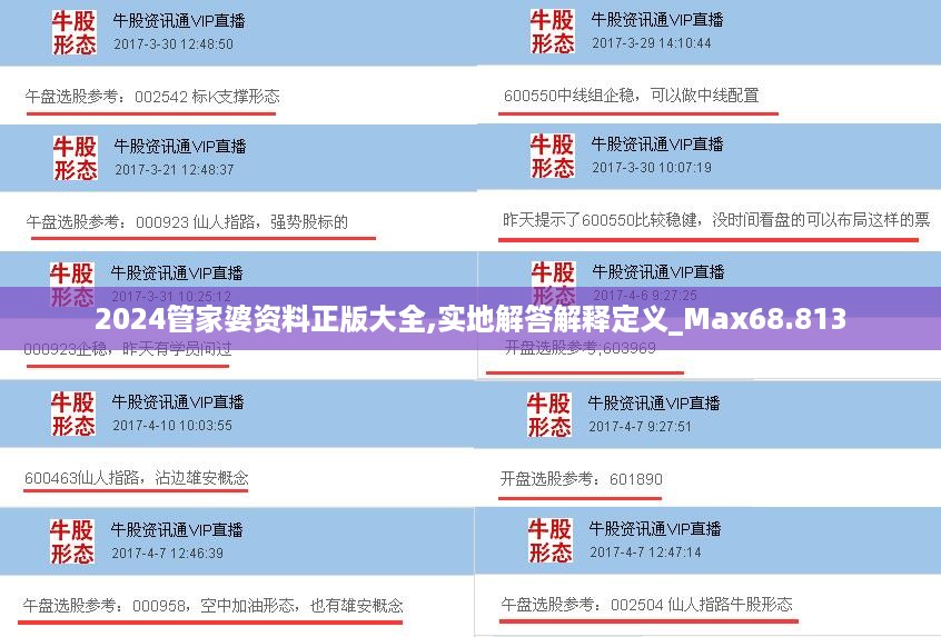 2024管家婆资料正版大全,实地解答解释定义_Max68.813