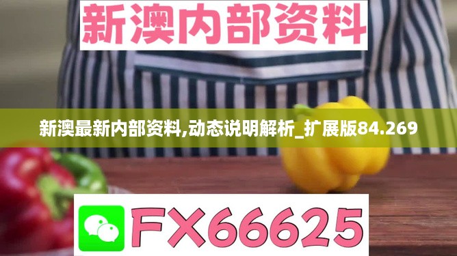 新澳最新内部资料,动态说明解析_扩展版84.269