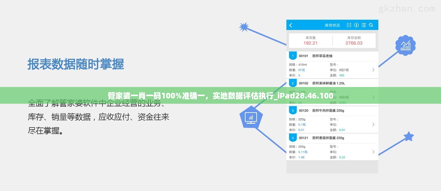 管家婆一肖一码100%准确一，实地数据评估执行_iPad28.46.100