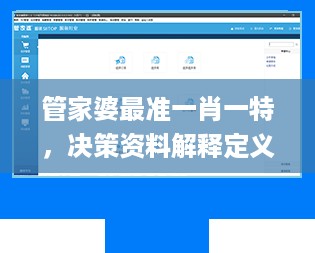 管家婆最准一肖一特，决策资料解释定义_iPad4.10.56