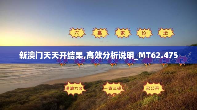 新澳门天天开结果,高效分析说明_MT62.475