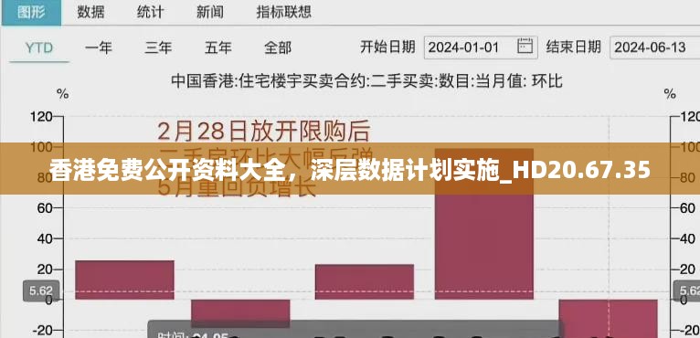香港免费公开资料大全，深层数据计划实施_HD20.67.35
