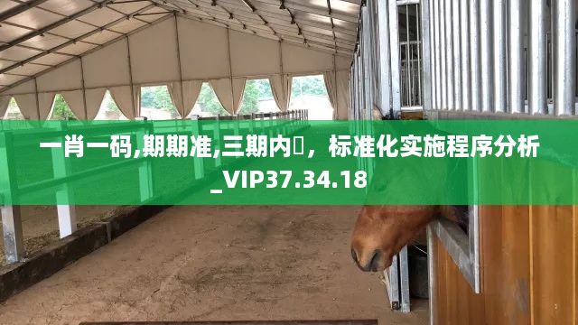 一肖一码,期期准,三期内開，标准化实施程序分析_VIP37.34.18