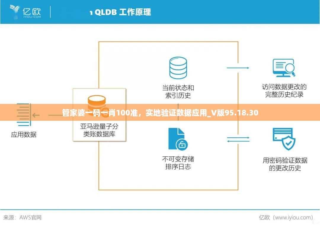 管家婆一码一肖100准，实地验证数据应用_V版95.18.30