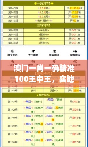 澳门一肖一码精准100王中王，实地分析数据计划_ios66.35.65