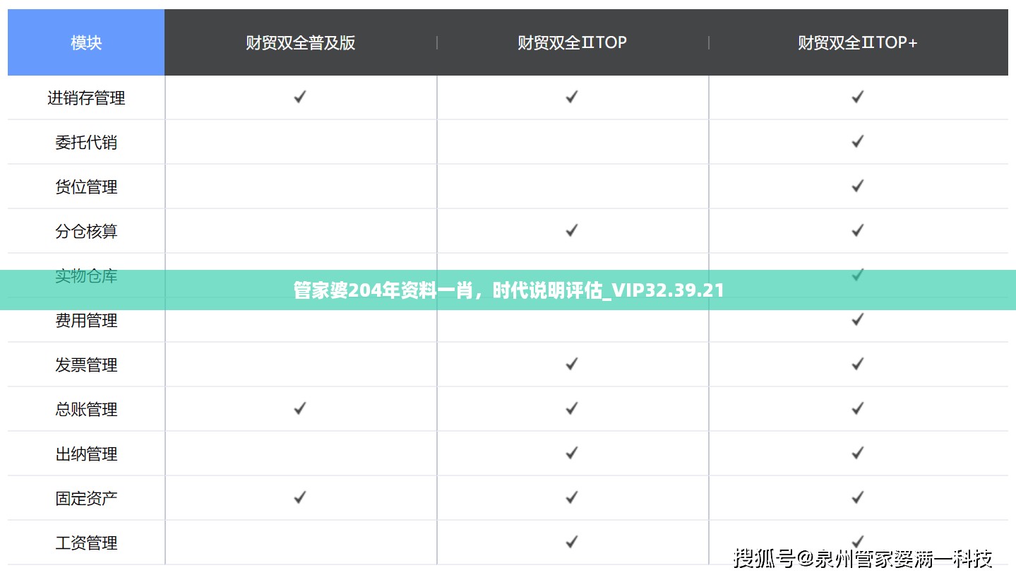 管家婆204年资料一肖，时代说明评估_VIP32.39.21