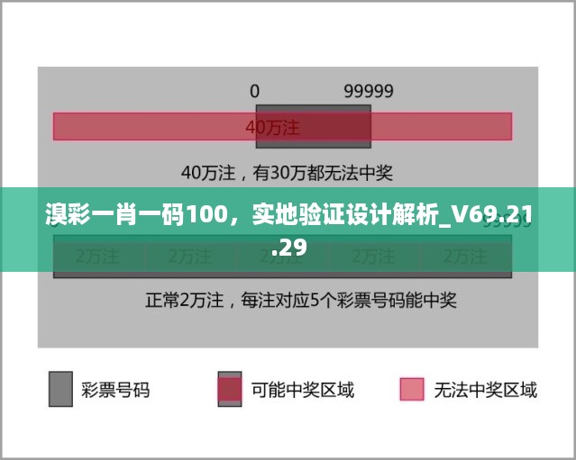 溴彩一肖一码100，实地验证设计解析_V69.21.29