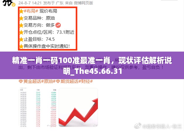 精准一肖一码100准最准一肖，现状评估解析说明_The45.66.31