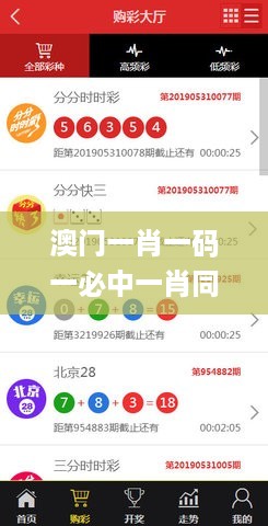 澳门一肖一码一必中一肖同舟前进，可靠数据评估_WP73.81.47