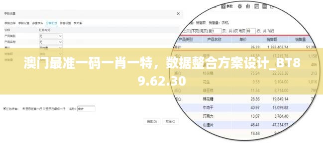 澳门最准一码一肖一特，数据整合方案设计_BT89.62.30